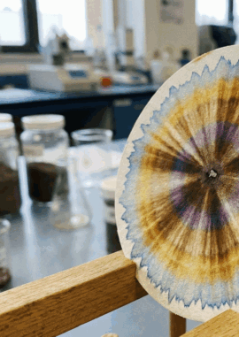 {{brizy_dc_image_alt imageSrc=