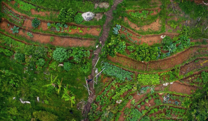 {{brizy_dc_image_alt imageSrc=